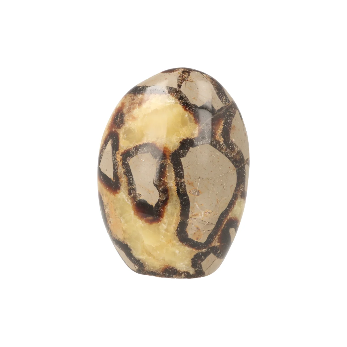 Septarie Sculpture 4 Septarie Sculpture from Madagascar with item number 21417