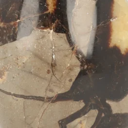 Septarie Sculpture from Madagascar with item number 21419