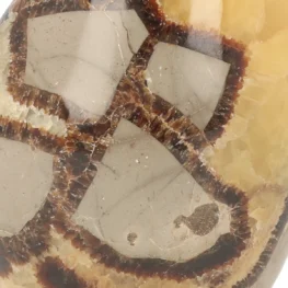 Septarie Sculpture from Madagascar with item number 21420