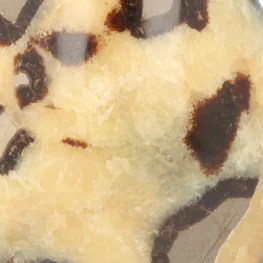 Septarie Sculpture from Madagascar with item number 21424