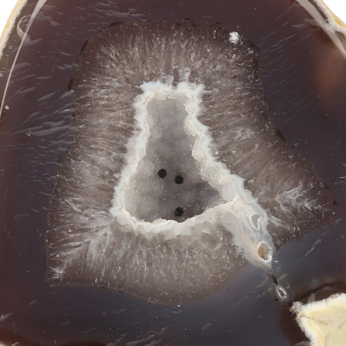 Agaat Geode Op Standaard 2 Agaat Geode Op Standaard uit Braziliƫ met artikelnummer 21461