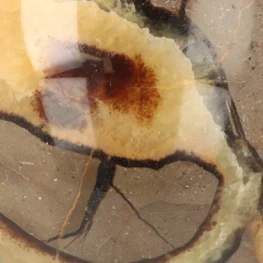 Septarie Bol uit Madagaskar met artikelnummer 21473