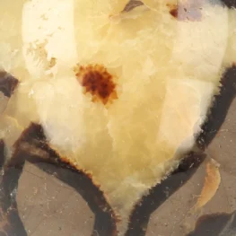 Septarie Bol uit Madagaskar met artikelnummer 21475