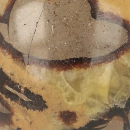 Septarie Bol uit Madagaskar met artikelnummer 21476