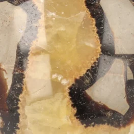 Septaric Sphere from Madagascar with item number 21479