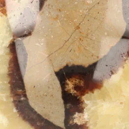 Septaric Sphere from Madagascar with item number 21482