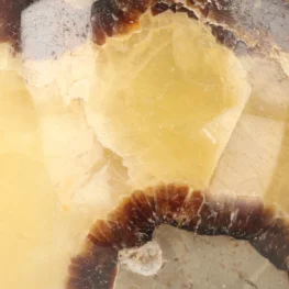 Septaric Sphere from Madagascar with item number 21484