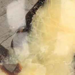 Septarie Bol uit Madagaskar met artikelnummer 21485