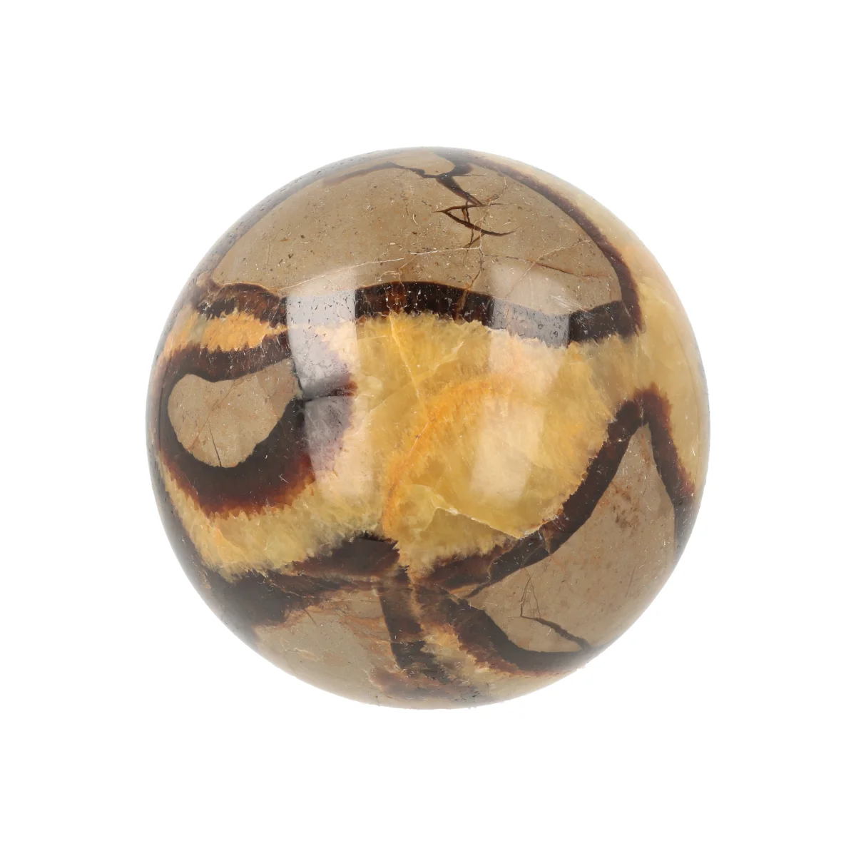 Septarie Bol 1 Septarie Bol uit Madagaskar met artikelnummer 21486