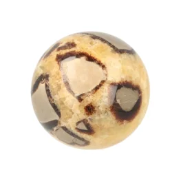 Septarie Bol uit Madagaskar met artikelnummer 21487