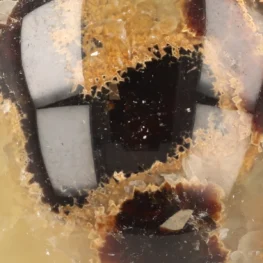 Septarie Bol uit Madagaskar met artikelnummer 21489