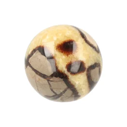 Septarie Bol uit Madagaskar met artikelnummer 21490