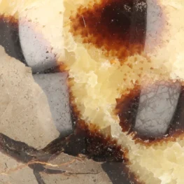 Septarie Bol uit Madagaskar met artikelnummer 21490