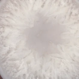 Agaat Eind op Standaard uit Brazilië met artikelnummer 21531