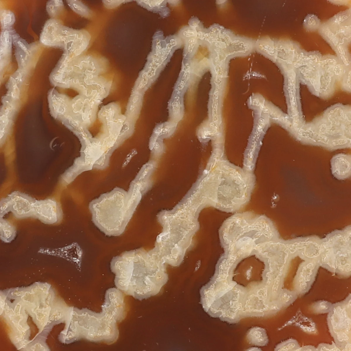 Agaat Eind op Standaard 2 Agaat Eind op Standaard uit Braziliƫ met artikelnummer 21537