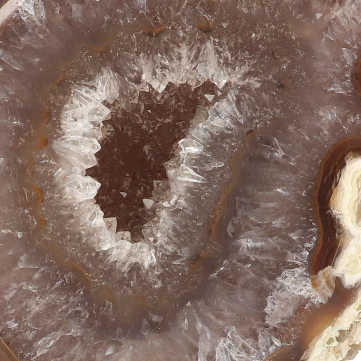 Agaat Geode op Standaard 2 Agaat Geode op Standaard uit Braziliƫ met artikelnummer 21566