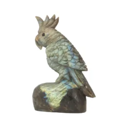 Labradoriet Carving uit China met artikelnummer 21617