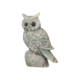 Labradoriet Carving uit China met artikelnummer 21618