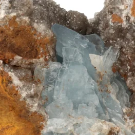 21664 blauwe bariet zoom