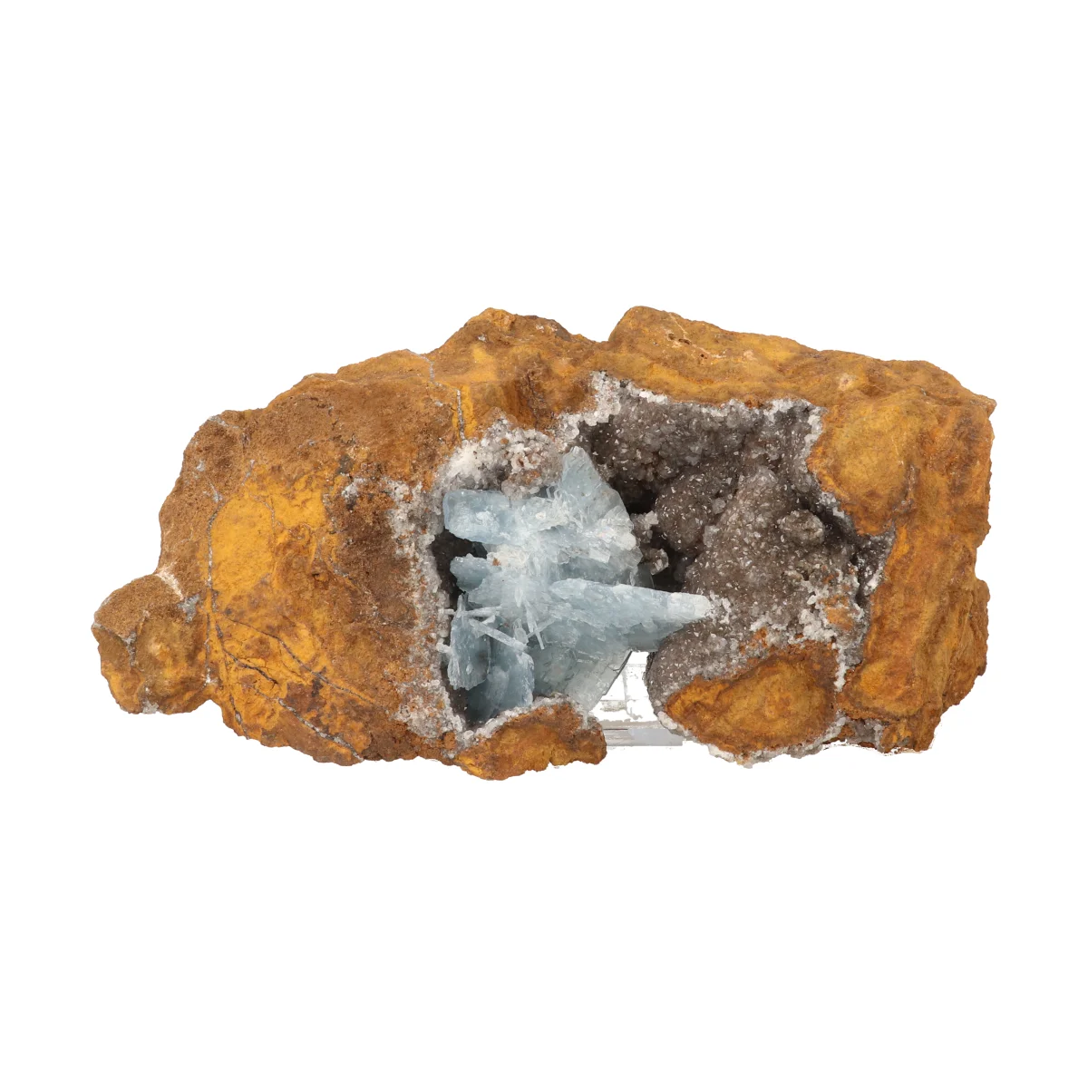 Blauwe Bariet 1 Blauwe Bariet