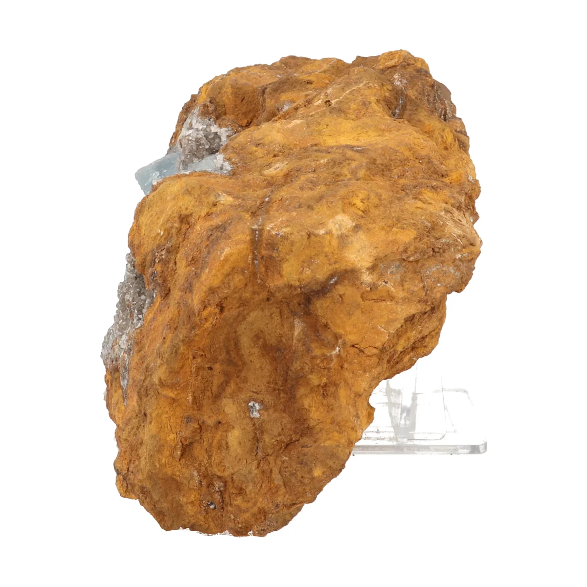 Blauwe Bariet 5 Blauwe Bariet - Afbeelding 5