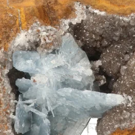 21665 blauwe bariet zoom