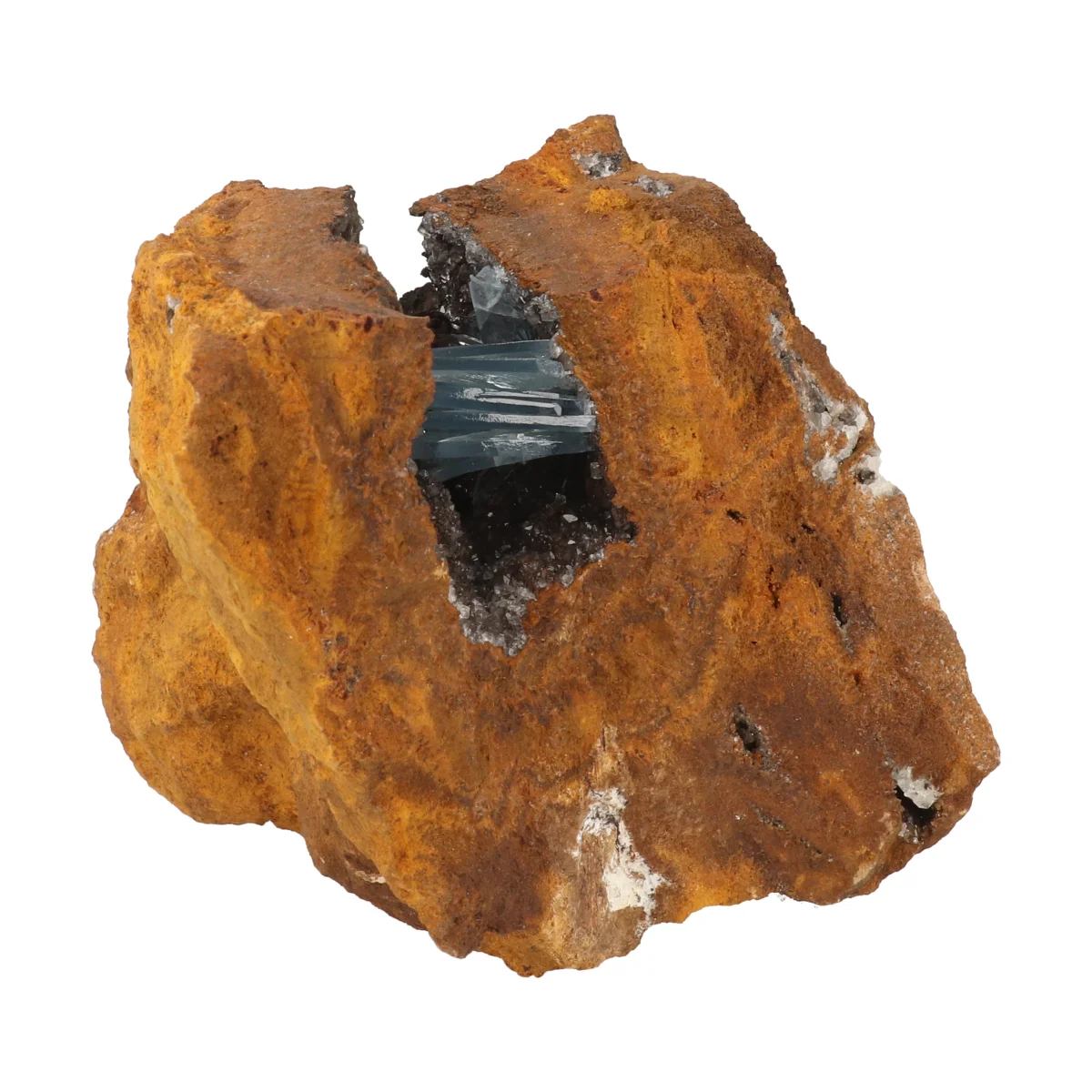 Blauwe Bariet 1 Blauwe Bariet