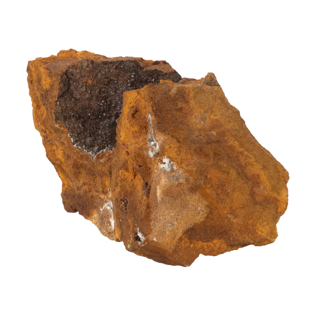 Blauwe Bariet 3 Blauwe Bariet - Afbeelding 3