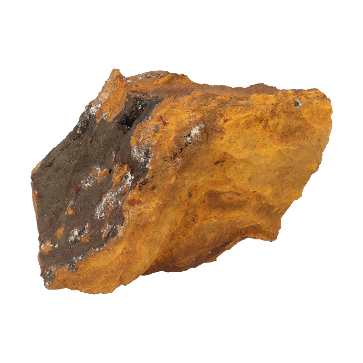 Blauwe Bariet 5 Blauwe Bariet - Afbeelding 5