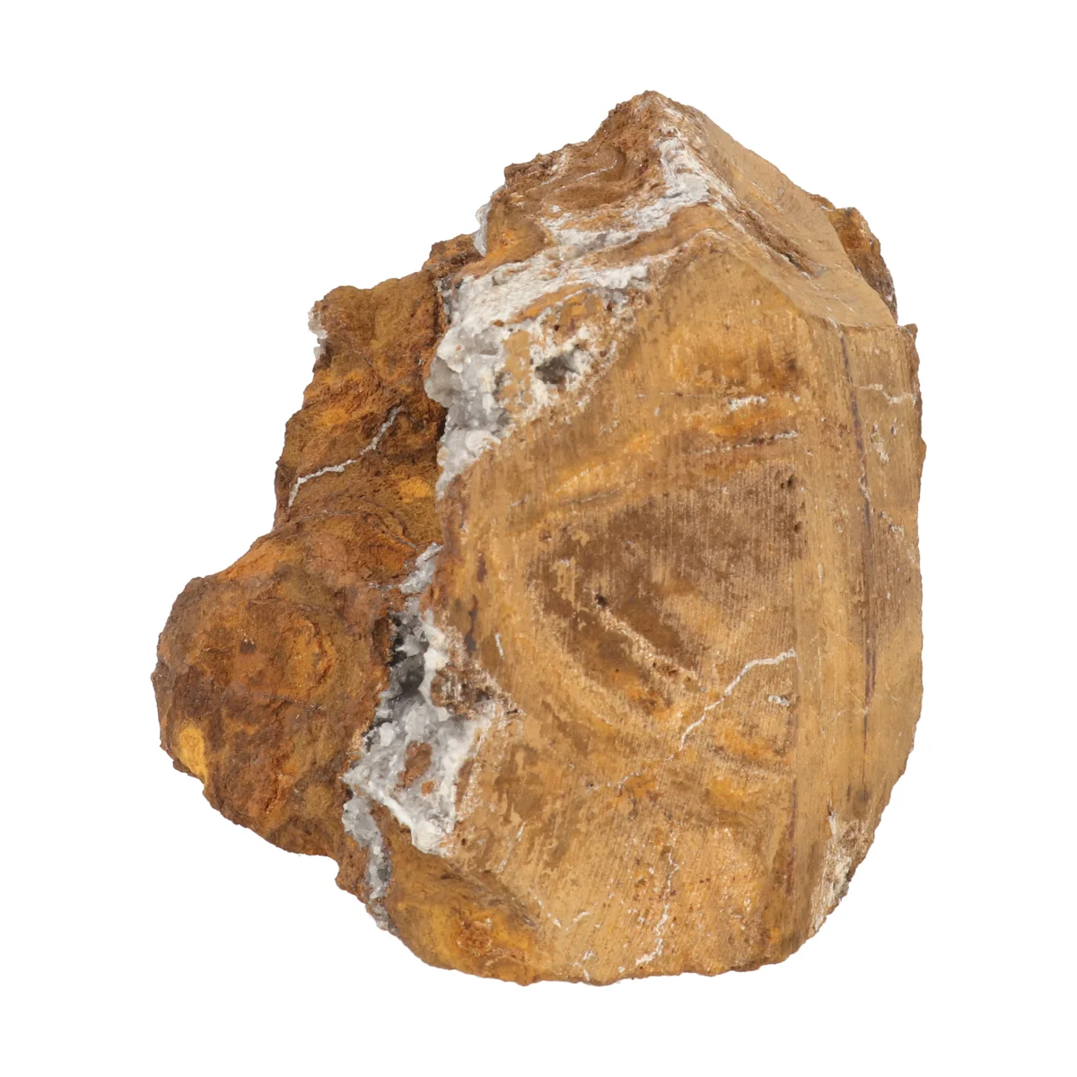 Blauwe Bariet 5 Blauwe Bariet - Afbeelding 5