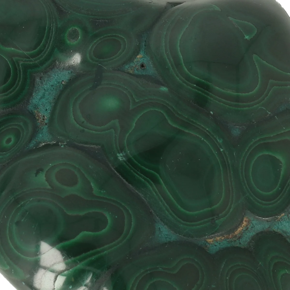 Malachite Polished 2 Malachiet Gepolijst uit Congo met artikelnummer 21716