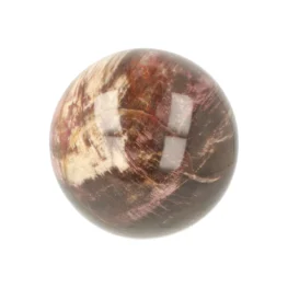 Versteend Hout Bol uit Madagaskar met artikelnummer 21720