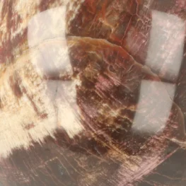 Versteend Hout Bol uit Madagaskar met artikelnummer 21720