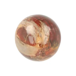 Versteend Hout Bol uit Madagaskar met artikelnummer 21721