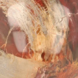 Versteend Hout Bol uit Madagaskar met artikelnummer 21721