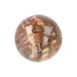 Versteend Hout Bol uit Madagaskar met artikelnummer 21722