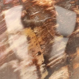 Versteend Hout Bol uit Madagaskar met artikelnummer 21722