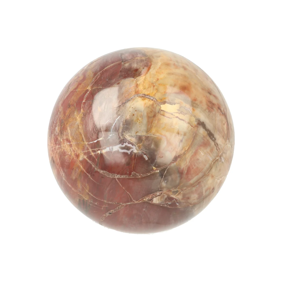 Versteinerte Holzkugel 1 Versteend Hout Bol uit Madagaskar met artikelnummer 21723