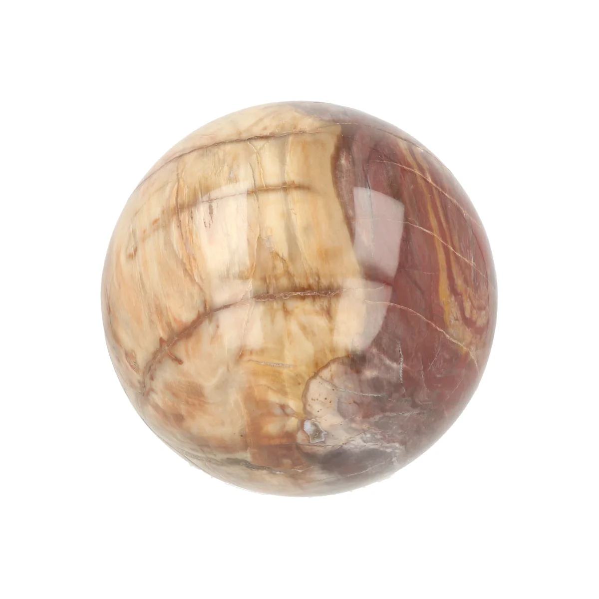 Versteinerte Holzkugel 3 Versteend Hout Bol uit Madagaskar met artikelnummer 21723