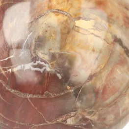 Versteend Hout Bol uit Madagaskar met artikelnummer 21723