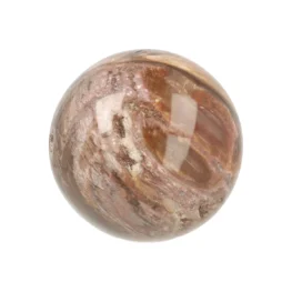 Versteend Hout Bol uit Madagaskar met artikelnummer 21724