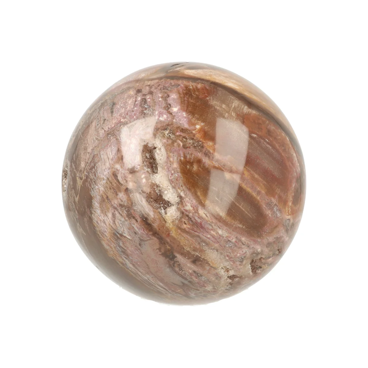 Versteend Hout Bol 1 Versteend Hout Bol uit Madagaskar met artikelnummer 21724