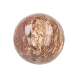 Versteend Hout Bol uit Madagaskar met artikelnummer 21725