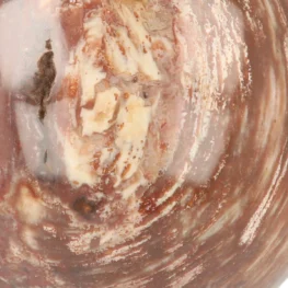 Versteend Hout Bol uit Madagaskar met artikelnummer 21725