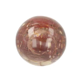 Versteend Hout Bol uit Madagaskar met artikelnummer 21726