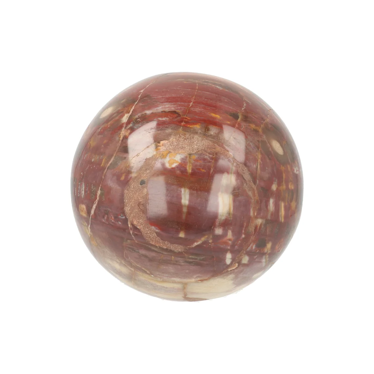 Versteend Hout Bol 1 Versteend Hout Bol uit Madagaskar met artikelnummer 21726