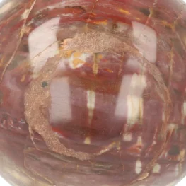 Versteend Hout Bol uit Madagaskar met artikelnummer 21726