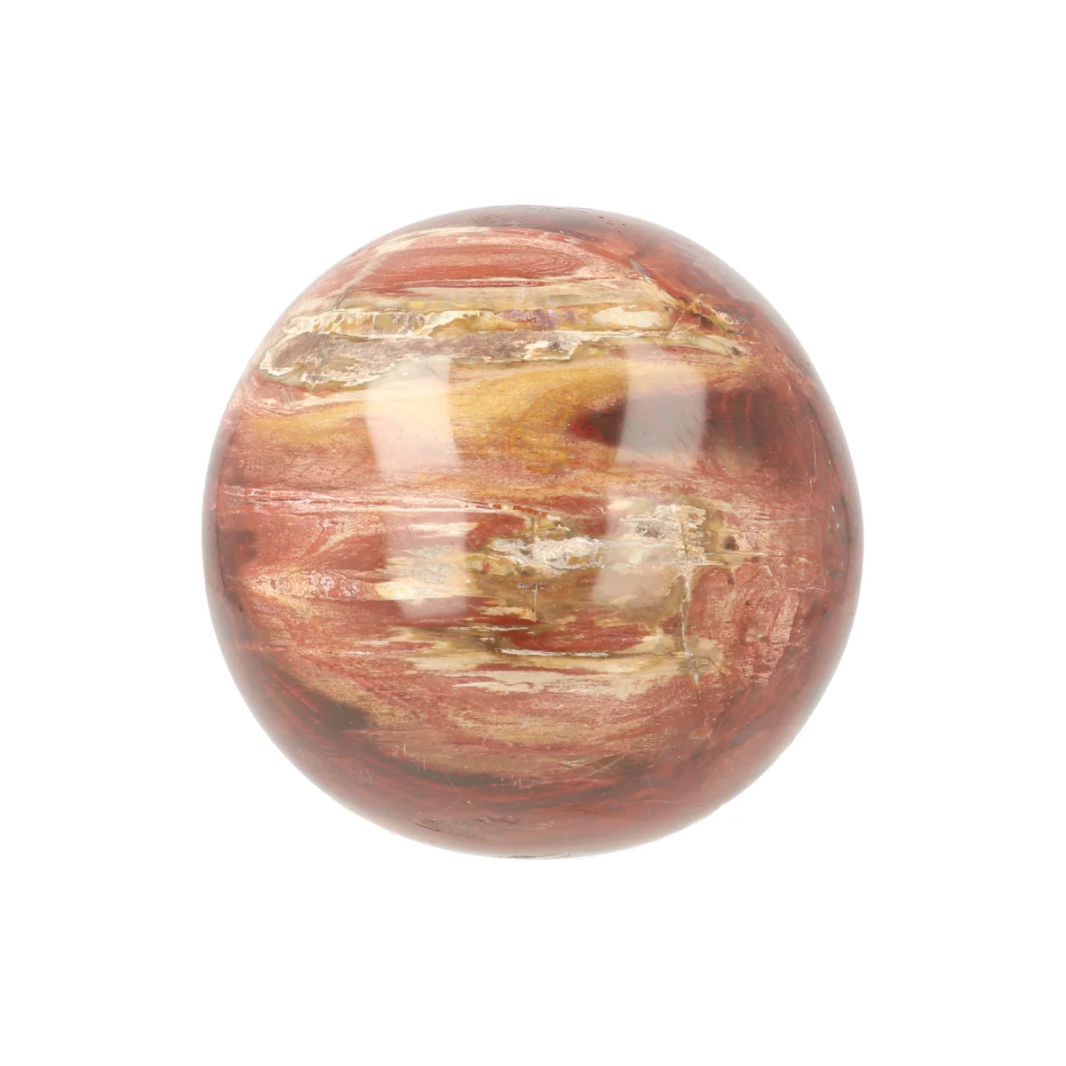 Versteend Hout Bol 1 Versteend Hout Bol uit Madagaskar met artikelnummer 21727