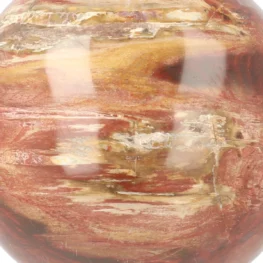 Versteend Hout Bol uit Madagaskar met artikelnummer 21727