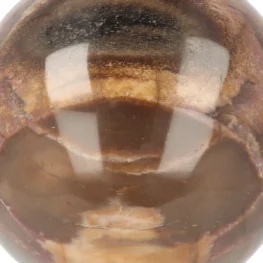 Versteend Hout Bol uit Madagaskar met artikelnummer 21728